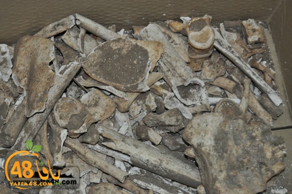 maqbara qeshleah (10).JPG